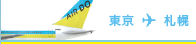 北海道国際航空株式会社
